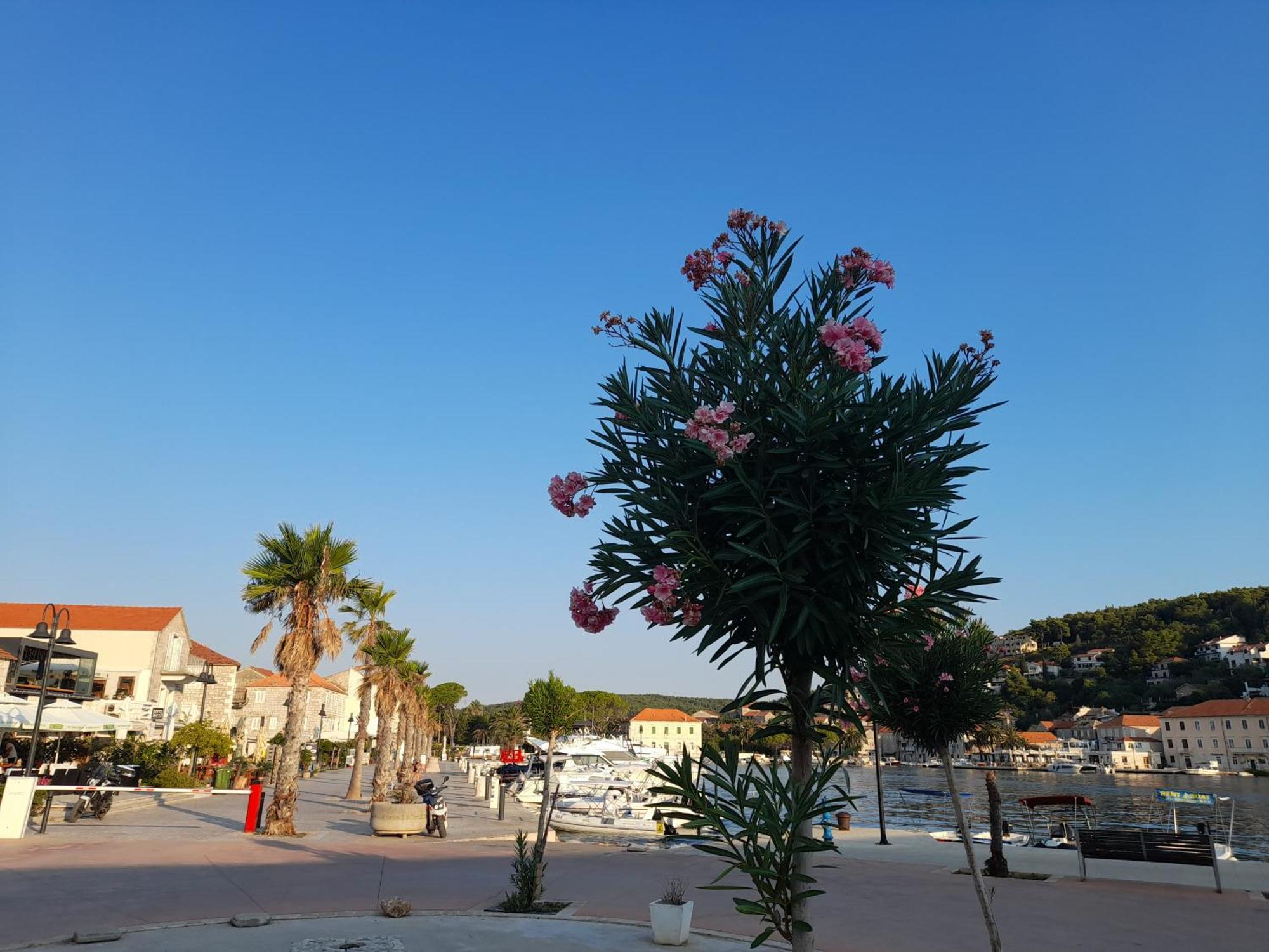 Hvar Architect'S House Pitve Экстерьер фото